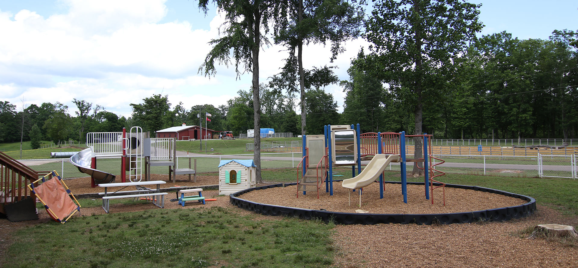 Programs - Sheltering Tree Ranch