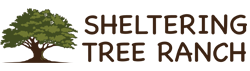 Sheltering Tree Ranch Logo