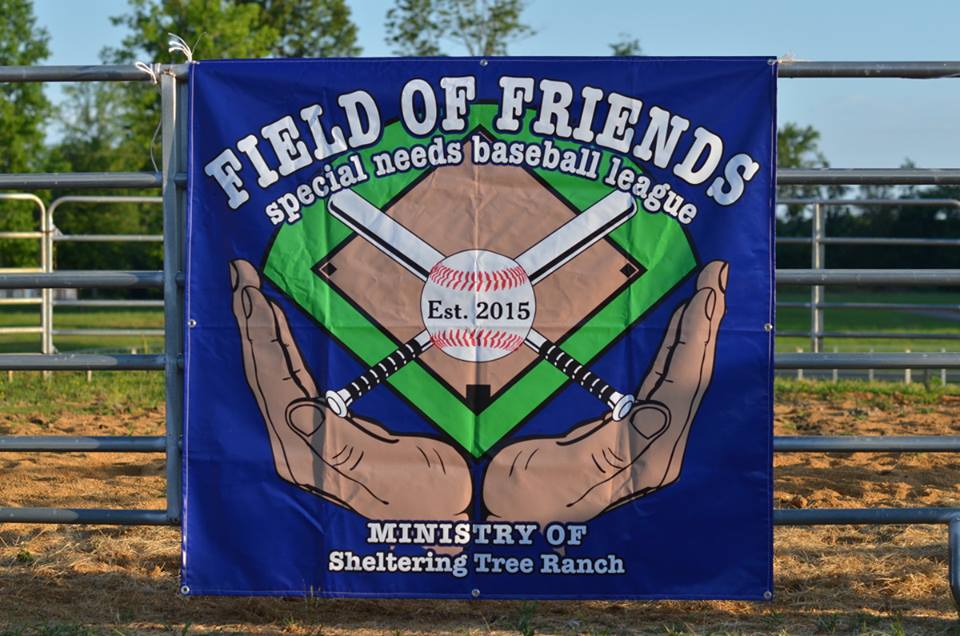 field of friends