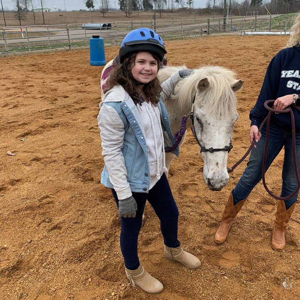 Equine 2